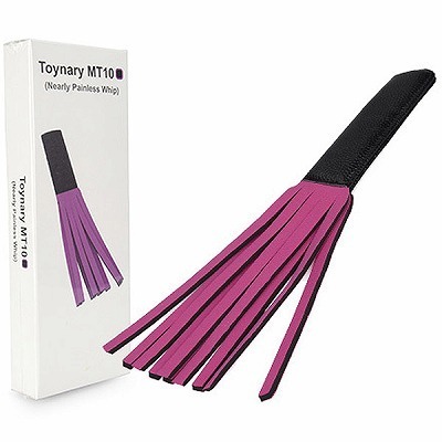 Toynary MT10