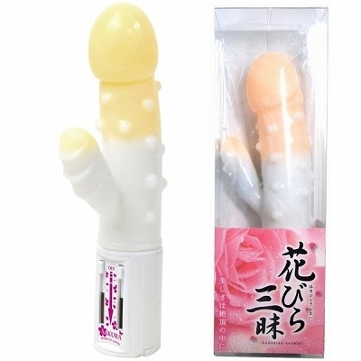花びら三昧 (オレンジ)
