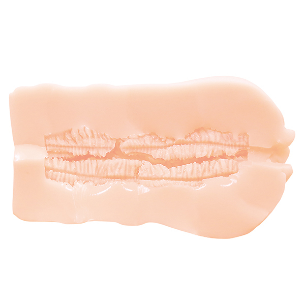 ͓֊탁ChɂȂƓzꐾ񏑂ɃTC܂